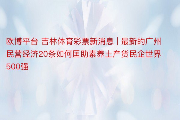 欧博平台 吉林体育彩票新消息 | 最新的广州民营经济20条如