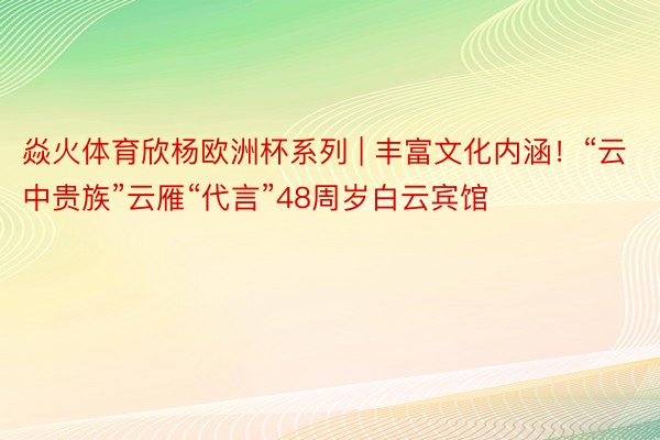 焱火体育欣杨欧洲杯系列 | 丰富文化内涵！“云中贵族”云雁“代言”48周岁白云宾馆