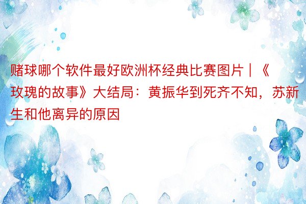 赌球哪个软件最好欧洲杯经典比赛图片 | 《玫瑰的故事》大结局：黄振华到死齐不知，苏新生和他离异的原因