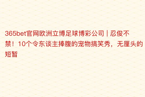 365bet官网欧洲立博足球博彩公司 | 忍俊不禁!10个令东谈主捧腹的宠物搞笑秀,无厘头的短暂